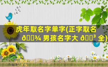 虎年取名字单字(正字取名 🌾 男孩名字大 🐳 全)